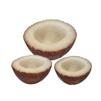 Coconut Bowl Wax Vessels